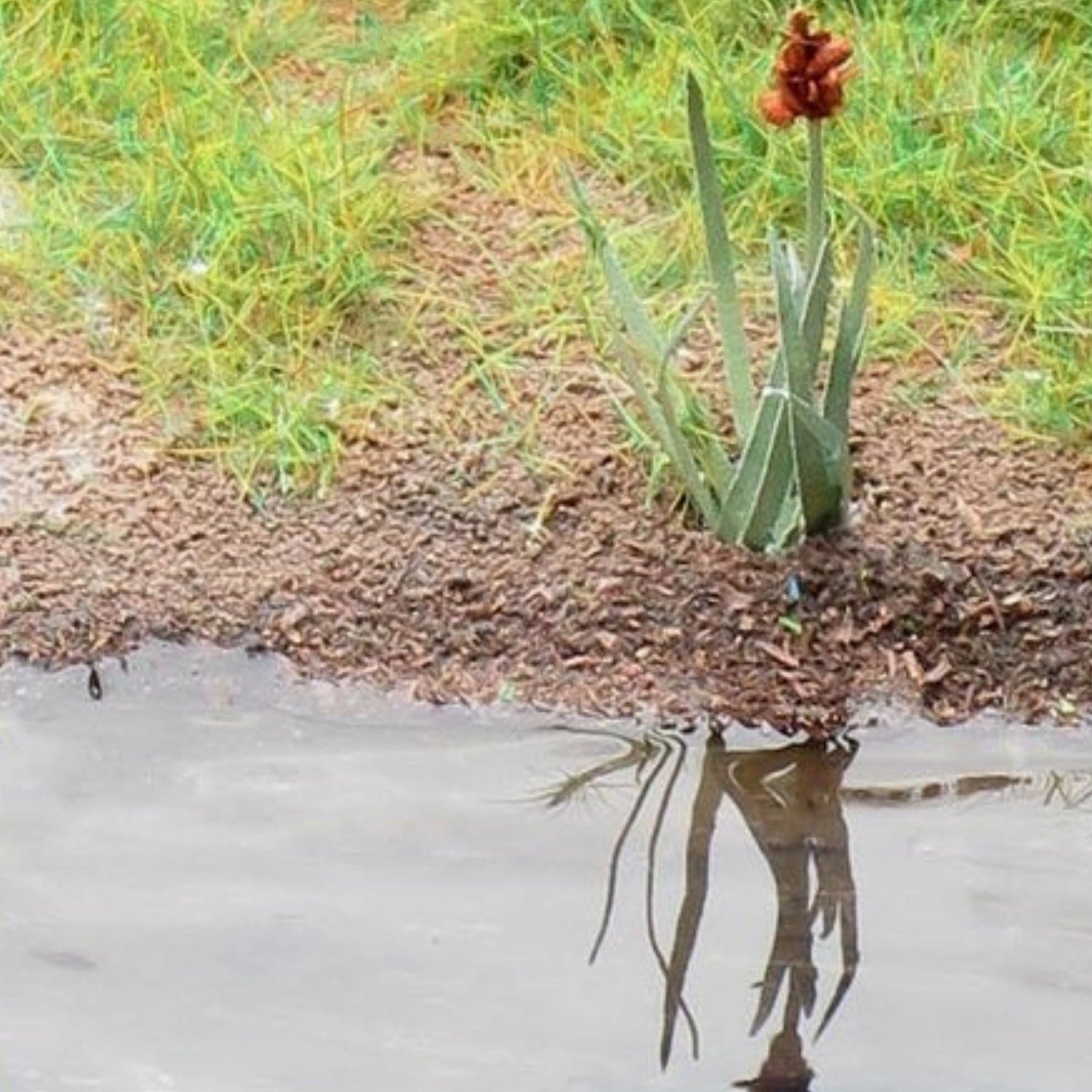 Water Effects